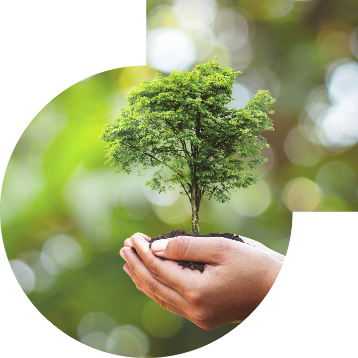 關懷人類、文化、環境與社會